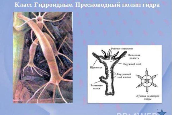 Кракен рабочая ссылка на сайт