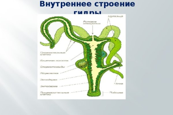 Ссылка на кракен официальный сайт