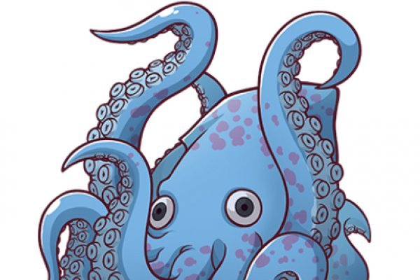Kraken 20at